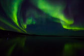 Auroras