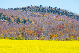 Adirondacks