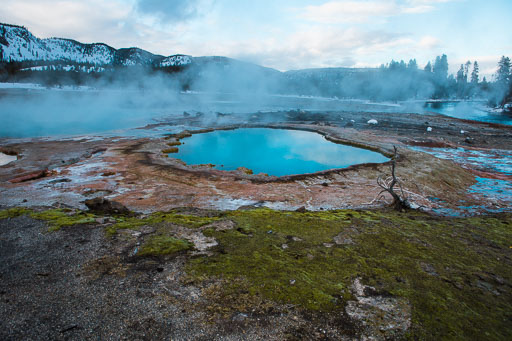 Yellowstone NP Winter 2020